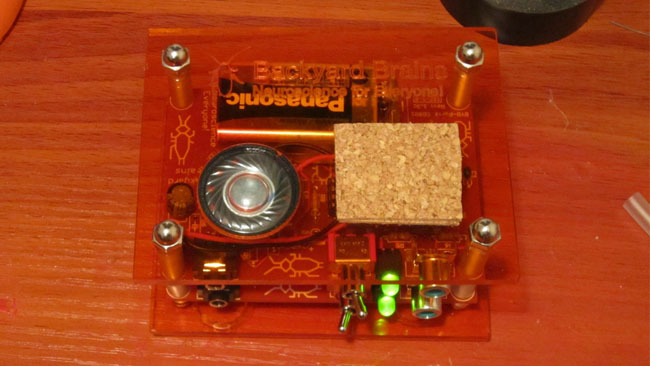 Place top case on SpikerBox, and tighten down acorn nuts. Flick top power switch. Both LEDs should come on. You should hear a “click” from the speaker as well.